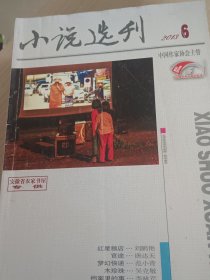 小说选刊2013年第6期