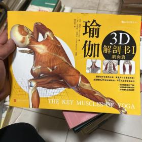 瑜伽3D解剖书I：肌肉篇