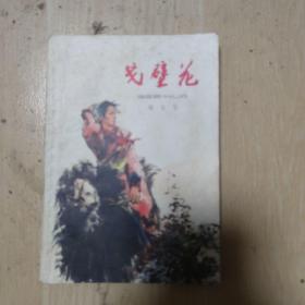 戈壁花`