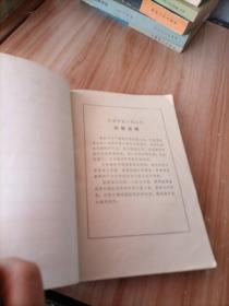 外国中篇小说丛刊 红字 安徽人民出版社