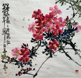 张绍华（红杜鹃）