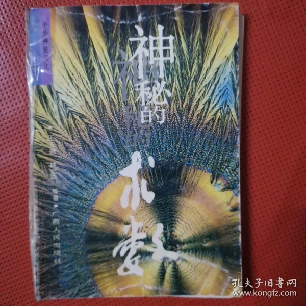 神秘的术数：中国算命术研究与批判