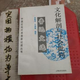 文化解剖与社会批判，鲁迅文选