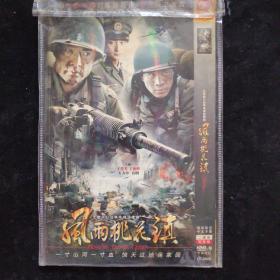 光盘 连续剧：风雨桃花镇 2DVD（主演：于荣光）简装两碟装