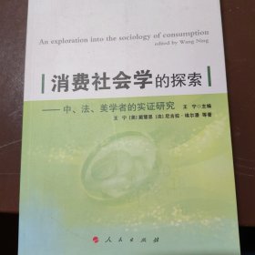 消费社会学的探索：中、美、法学者的实证研究