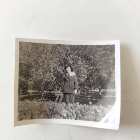 女子在树下花丛中留影照片