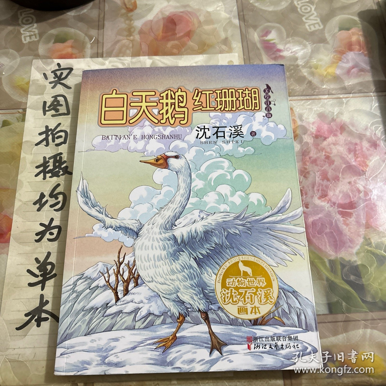 白天鹅红珊瑚（动物世界沈石溪画本 美绘注音版）