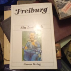 Freiburg ein lesebuch