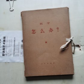 列宁 怎么办？ 4册全 函装