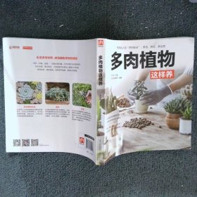 正版图书|多肉植物这样养木丰央