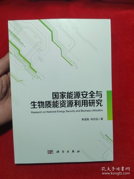 国家能源安全与生物质能资源利用研究