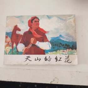 中国少数民族故事,天山的红花