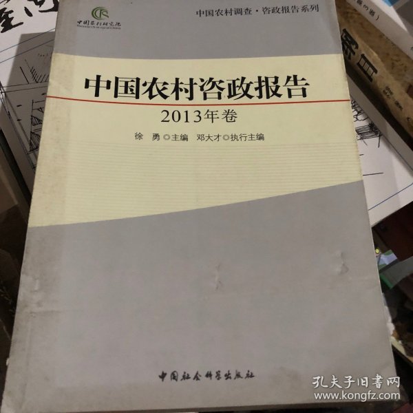 中国农村调查·咨政报告系列：中国农村咨政报告（2013年卷）