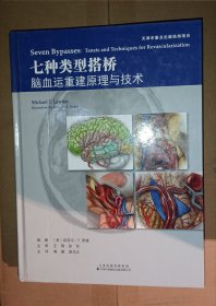 七种类型搭桥：脑血运重建原理与技术