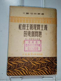 文艺理论丛书――社会主义现实主义的几个问题