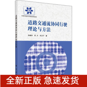 道路交通流協(xié)同行駛理論與方法