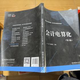 会计电算化（第2版）/应用型本科财务管理、会计学专业精品系列教材