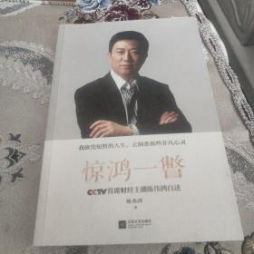 惊鸿一瞥：CCTV首席财经主播陈伟鸿自述