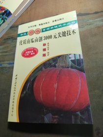 優(yōu)質(zhì)南瓜畝創(chuàng)3000元關(guān)鍵技術(shù)