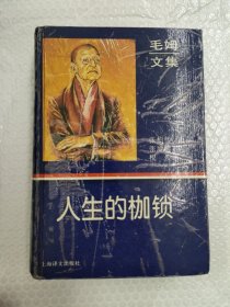 人生的协锁(精装)