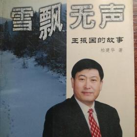 雪飘无声: