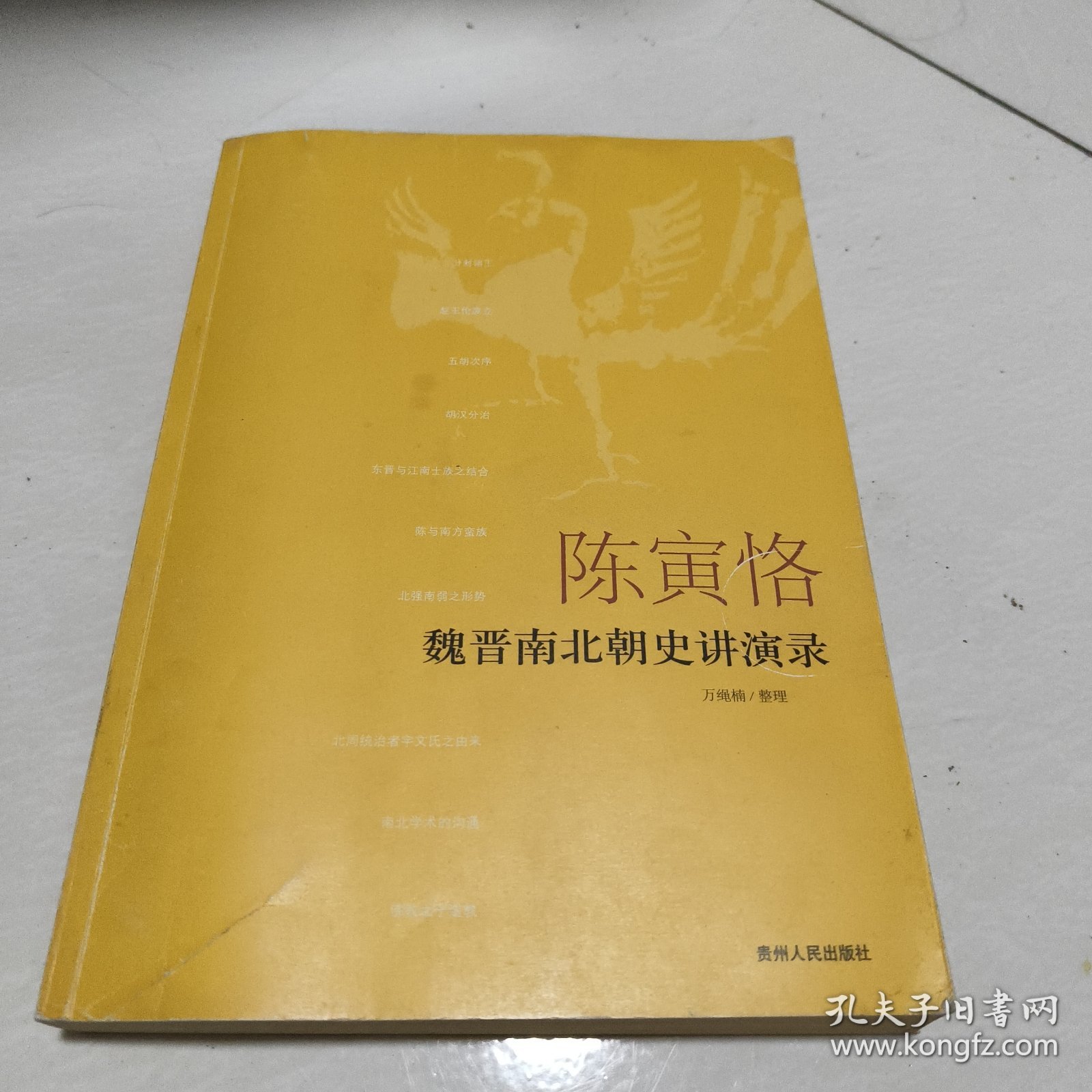 陈寅恪魏晋南北朝史讲演录