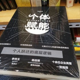 个体赋能：新时代加速成长隐性逻辑（你需要的不是经验，而是经验背后的底层逻辑！仓梓剑、李传玉、杨连瑛等十余位企业高管一致推荐！）