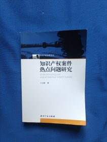 《知识产权案件热点问题研究》，32开。