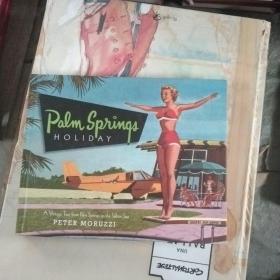 Palm Springs Holiday: A Vintage Tour from Palm Springs to the Salton Sea
