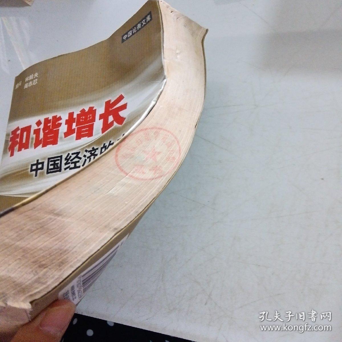 和谐增长：中国经济的未来