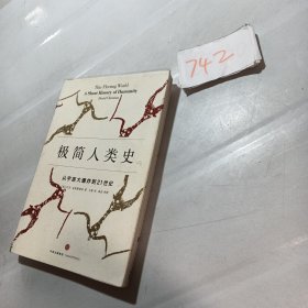 极简人类史：从宇宙大爆炸到21世纪