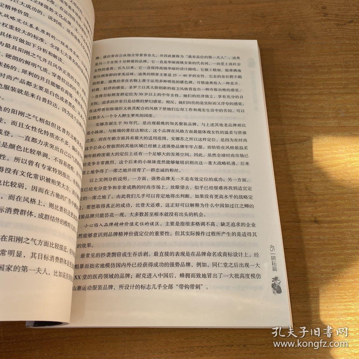 地球村里的第三代战略：以人本的强势文化品牌成就企业家的终极幸福【实物拍照现货正版】