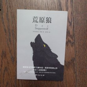 荒原狼（比肩《尤利西斯》，德文直译，无删减完整版。慕尼黑大学图书馆收藏版本。）