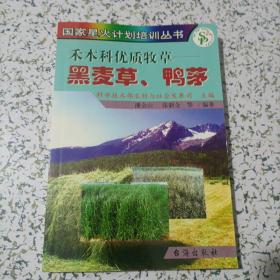 禾本科优质牧草——黑麦草鸭茅