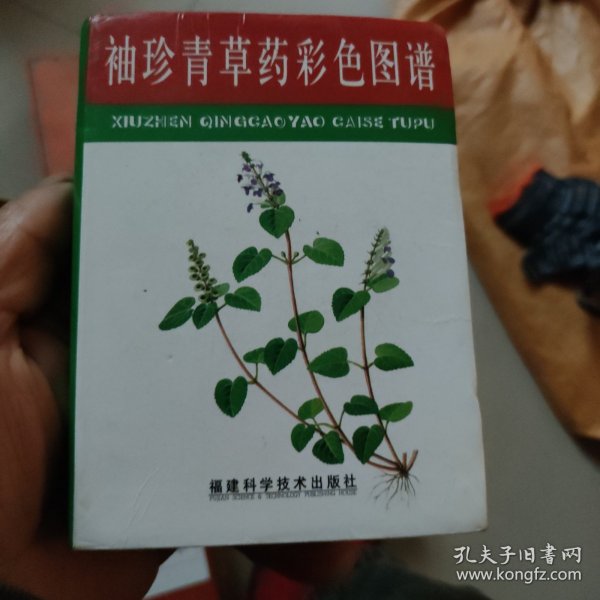 袖珍青草药彩色图谱