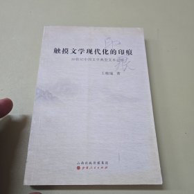 触摸文学现代化的印痕 : 20世纪中国文学典型文本 论析