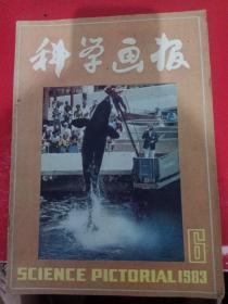 科学画报1983/6