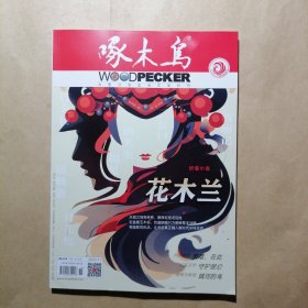 啄木鸟 2024 11