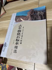 黑龙江省博物馆藏古生物化石标本精选