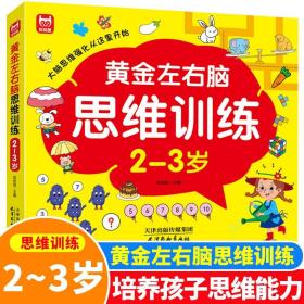 正版 黄金左右脑思维训练2-3岁 儿童全脑智力开发关键题逻辑思维训练益智游戏测试题 幼儿园大班宝宝智力潜 北京师范大学出版社 9787554711019