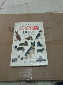 大狗写真図鑑 DOGS