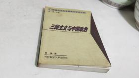 三民主义与中国政治——中国社会科学院青年学者文库/文史系列