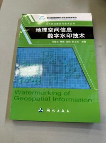 地理空间信息数字水印技术