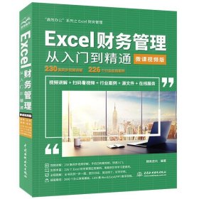 Excel财务管理从入门到精通（微课视频版）