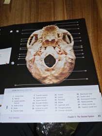 a photographic atlas for anatomy&physiology（解剖学和生理学的摄影图集）
