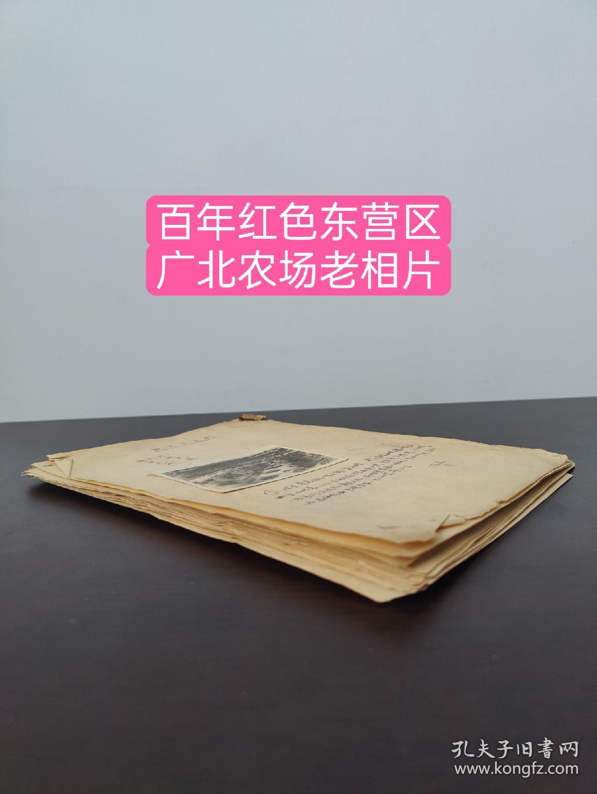 【馆藏级别】百年红色东营区广北农场(50年代老照片一组共65张合销)
       广北农场始建于1950年，隶属华东军政委员会；1949年
秋，奉华东局农林部创建国营农场指示，夏林带领华东局农业科学研究所、山东省实业厅、渤海行署实业处等单位组成的勘察小组在山东省广饶县第七区赵嘴一带勘察，拟筹建国营农场。
冬，华东局农林部派留美农机专家徐明光带队在广饶县第七区赵嘴一带就建场问题复勘、定点。