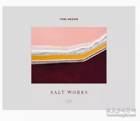 汤姆·哈根：盐系列空中摄影 Tom Hegen: Salt Works