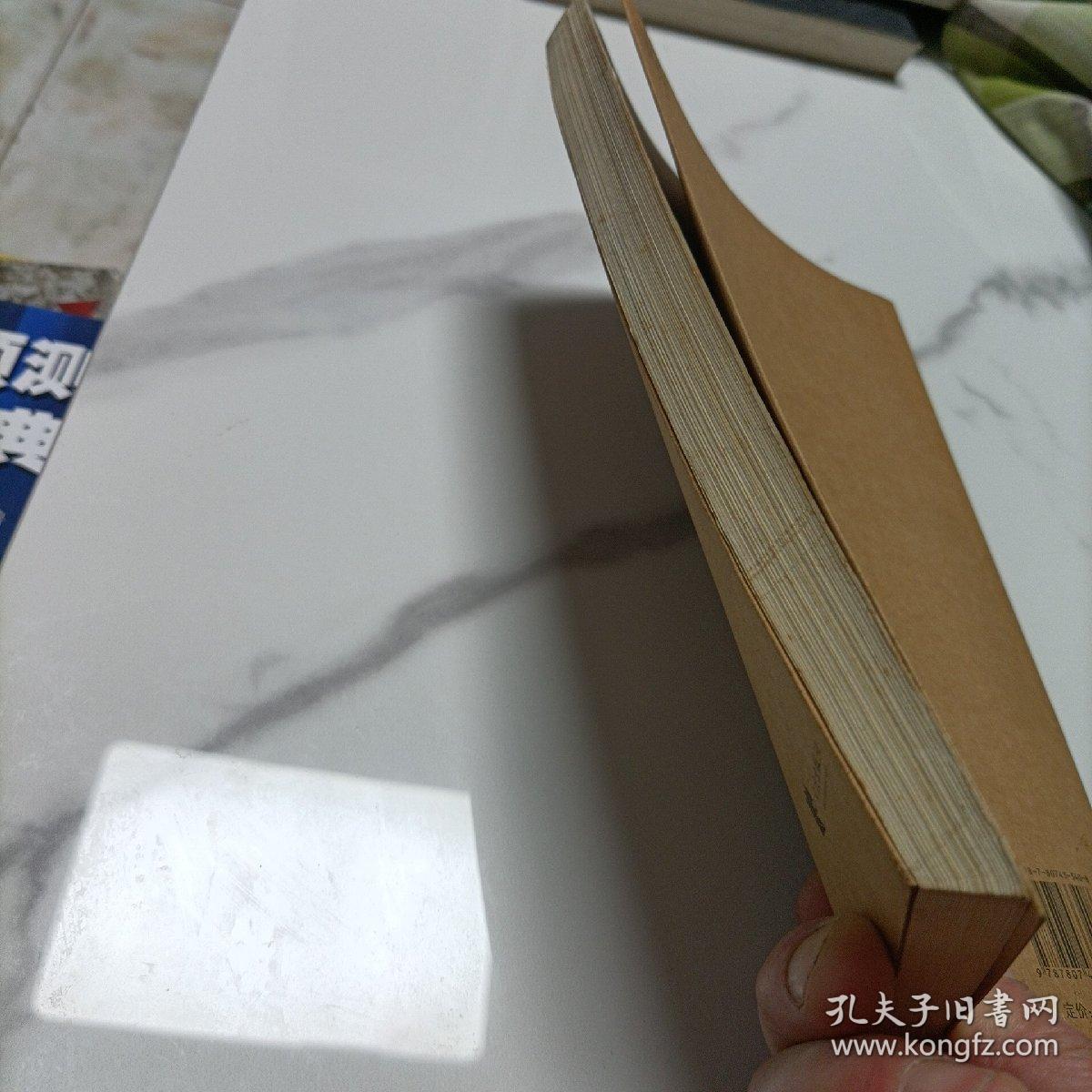 股市的天空:14种市场法则与差价技术批判:14 kind of market rules and price difference technology critique:第一版·中文版