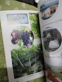 辽阳县乡镇概况