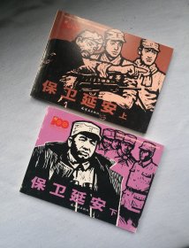 《保卫延安》，上下册全